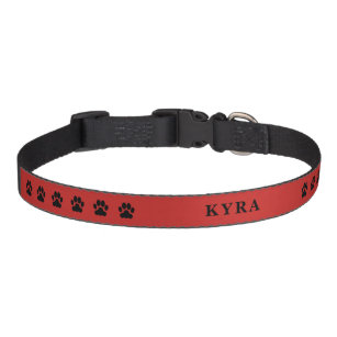 Cute black dog paws feet red name pet collar