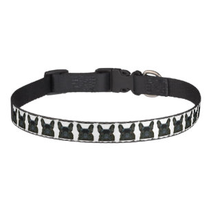 Spiked Dog Collar Vector Images Browse 2463 Stock Photos  Vectors Free  Download with Trial  Shutterstock