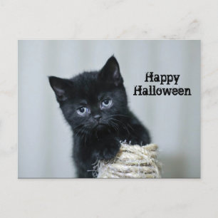 Cute Black Kitten Twine Photo Halloween Postcard