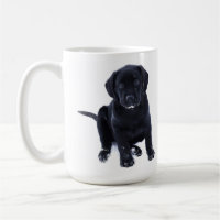 Cute Black Lab Labrador Retriever Dog