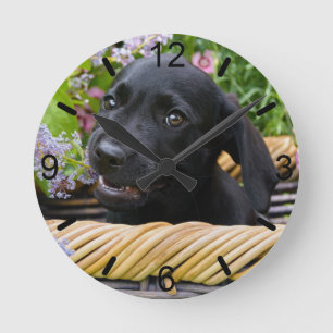 Cute Black Labrador Retriever Dog Puppy dial-plate Round Clock