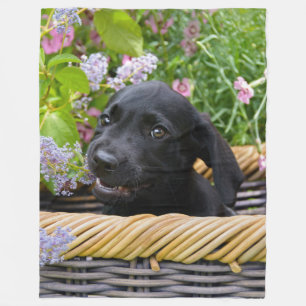 Cute Black Labrador Retriever Dog Puppy Pet Photo Fleece Blanket