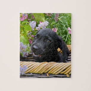 Cute Black Labrador Retriever Dog Puppy Pet Photo Jigsaw Puzzle