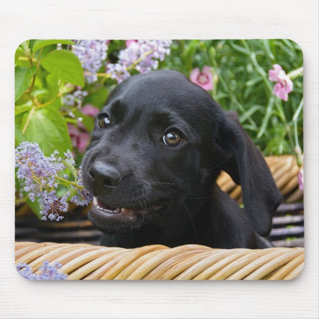 Cute Black Labrador Retriever Dog Puppy Pet Photo Mouse Pad (Front)