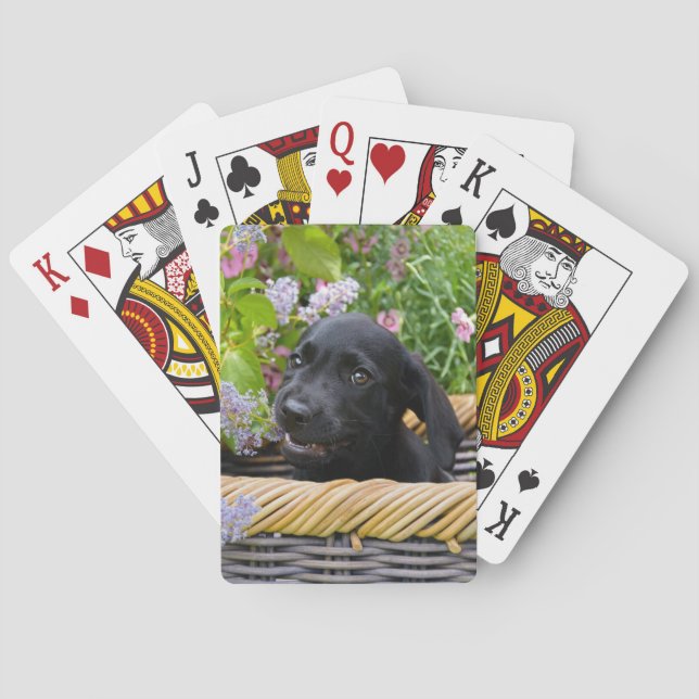 Cute Black Labrador Retriever Dog Puppy Pet Photo Playing Cards (Back)