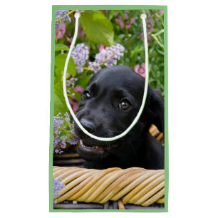 Cute Black Labrador Retriever Dog Puppy Pet Photo Small Gift Bag