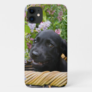 Cute Black Labrador Retriever Dog Puppy Photo * Case-Mate iPhone Case