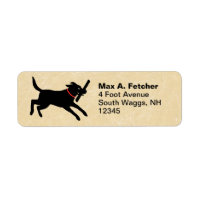 Cute Black Labrador Retriever Running | Fun Dog