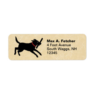 Cute Black Labrador Retriever Running | Fun Dog