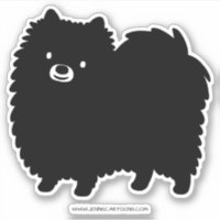 Cute Black Pomeranian Dog | Fluffy Pommie Pom