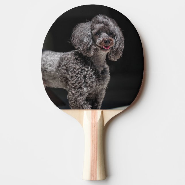 Cute Black Poodle Dog Head Smile Smiling Ping Pong Paddle (Front)
