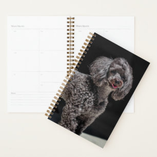 Cute Black Poodle Dog Head Smile Smiling Planner