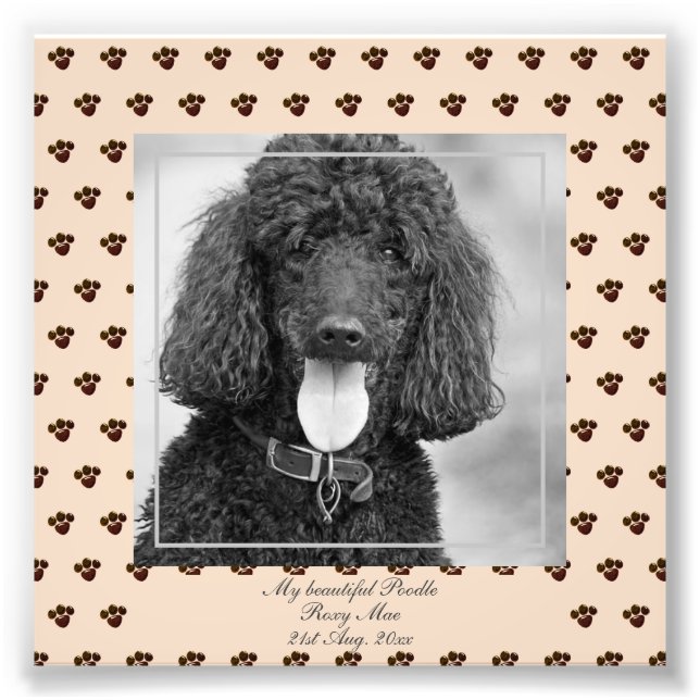 Cute Black Poodle Dogs PHOTO Named Keepsake (Front)