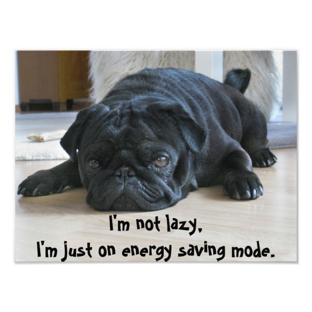 Cute Black Pug Puppy Laziness Poster (Front)
