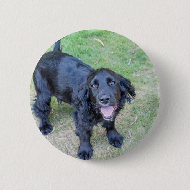 Cute Black Puppy 6 Cm Round Badge (Front)