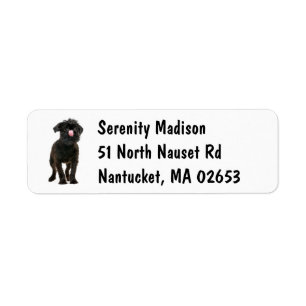 Cute Black Puppy Dog Lover Brussels Griffon Label