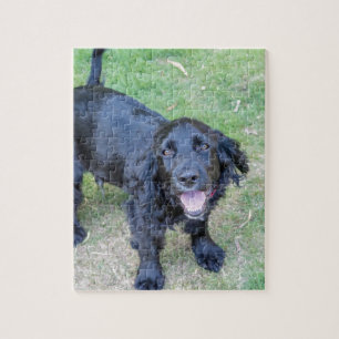 Cute Black Puppy Jigsaw Puzzle