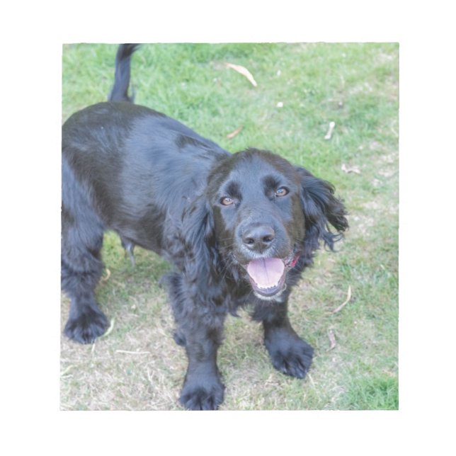 Cute Black Puppy Notepad (Front)