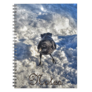 Cute Black Raven in the Snow Photo Spiral Notebook
