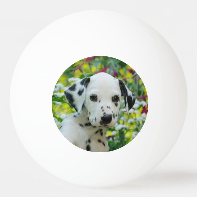 Cute black spotted Dalmatian Baby Dog Puppy Photo Ping Pong Ball (Front)