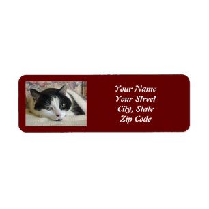 Cute Black White Cat Custom Photo Burgundy