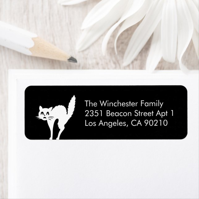 Cute black white cat Halloween funny address (Insitu)