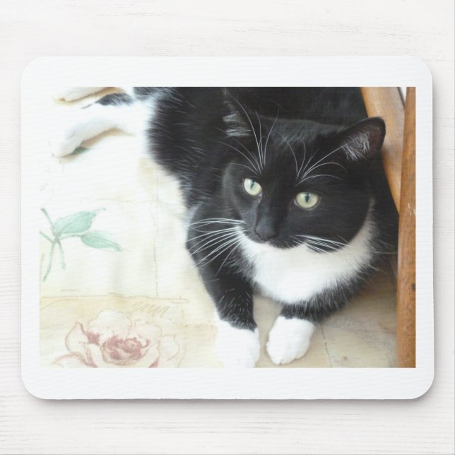 Cute black & white cat mouse pad (Front)