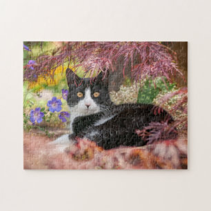 Cute Black-White Cat Resting under a Maple Tree - Jigsaw Puzzle