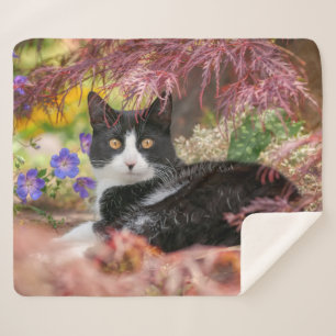 Cute Black-White Cat Resting under a Maple Tree - Sherpa Blanket
