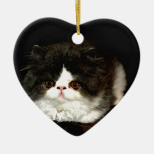 Cute black white kitten cat ceramic tree decoration