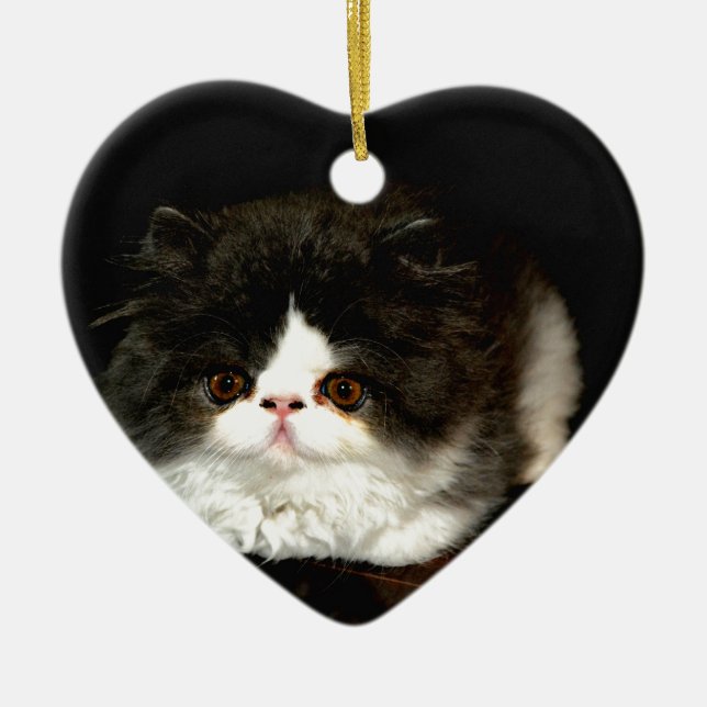 Cute black white kitten cat ceramic tree decoration (Front)