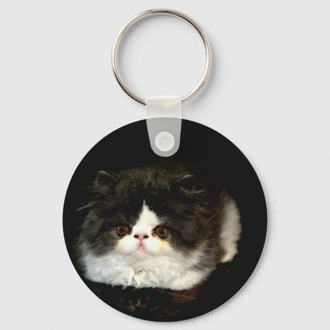 Cute black white kitten cat key ring (Front)