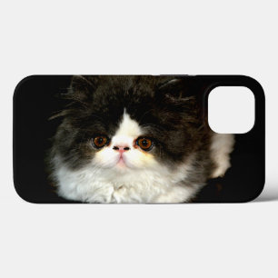 Cute black white kitten photo iPhone 13 case