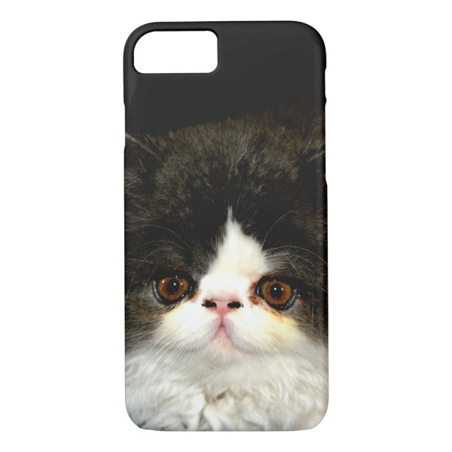 Cute black white kitten photo Case-Mate iPhone case (Back)