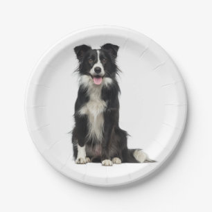 Cute Black White Puppy Dog Border Collie Party Paper Plate