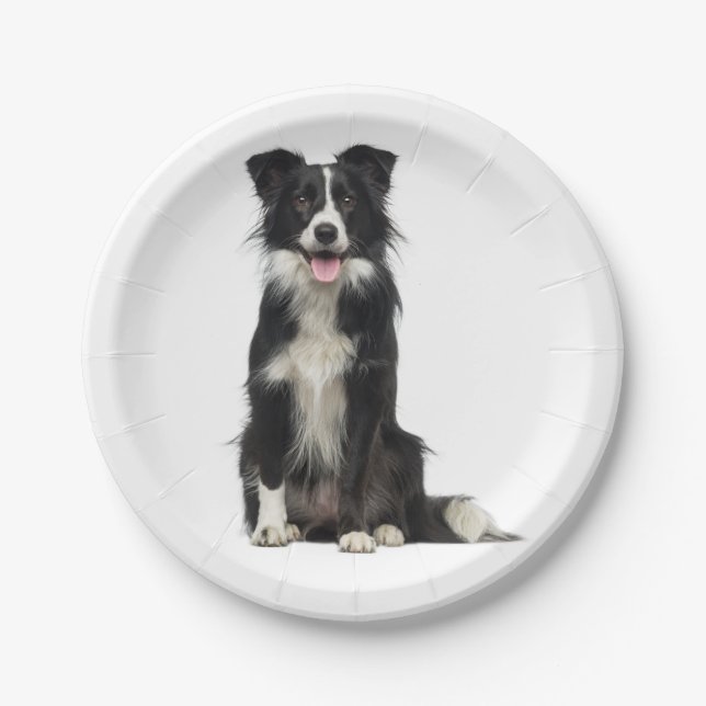 Cute Black White Puppy Dog Border Collie Party Paper Plate (Front)