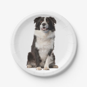 Cute Black White Puppy Dog Border Collie Party Paper Plate