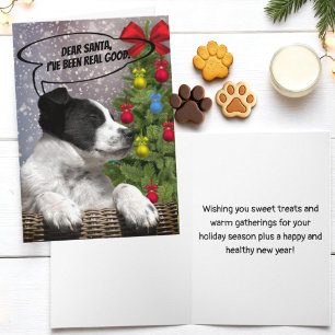 Cute Black White Puppy Dreaming in Snowfall Custom Holiday Card