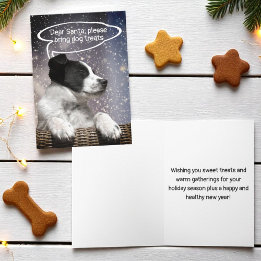 Cute Black White Puppy Dreaming in Snowfall Custom Holiday Card