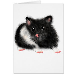 Cute Black white Syrian hamster gifts accessories
