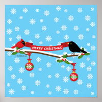 Cute Blackbird And Cardinal On Branch - MERRY XMAS