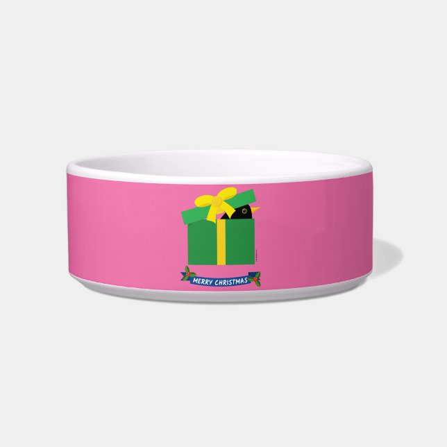 Cute Blackbird Peeking Out Of A Gift Box Bowl (Front)