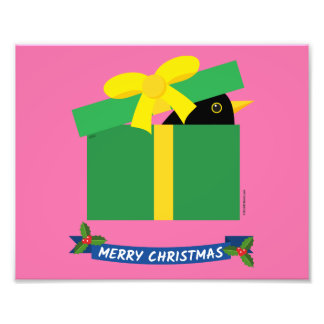Cute Blackbird Peeking Out Of A Gift Box Photo Print