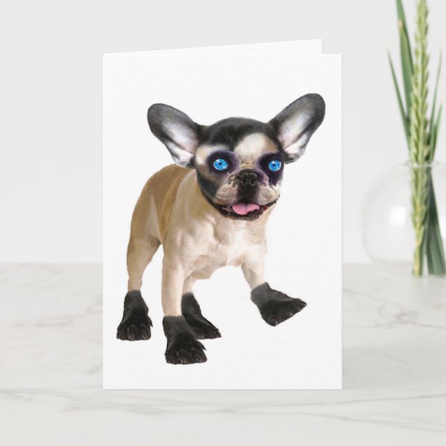 Cute Blank-Inside Card (Front)