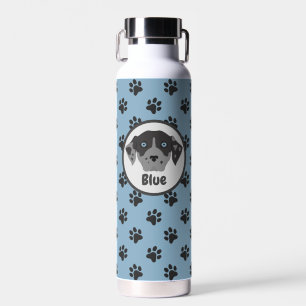Cute blue, black paw print stainless steel  water bottle
