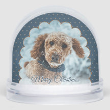 Cute Blue Frame Dog Photo Snow Globe