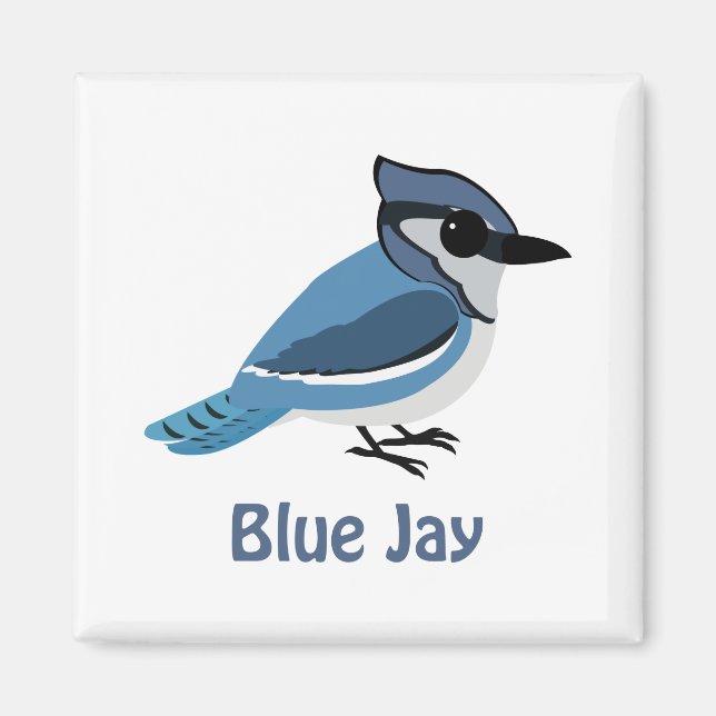 Cute Blue Jay Magnet (Front)