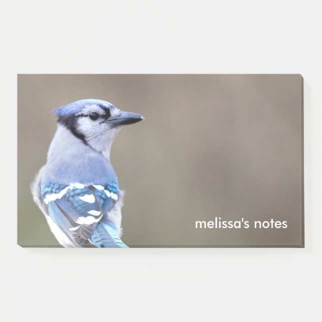 Cute Blue Jay Songbird on Treestump Post-it Notes (Front)