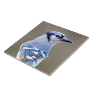 Cute Blue Jay Songbird on Treestump Tile