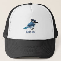 Cute Blue Jay